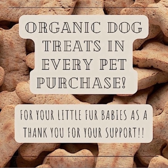 HP 🎉 petcube bites 2 pet camera | treat dispenser | Alexa built-in | 360 view - Picture 7 of 7